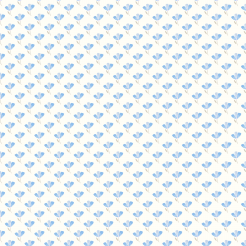 Beautiful Blue Flowers