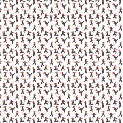 Japanese Ninja Action