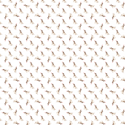 Jack Russell Terrier