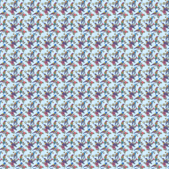 Colorful Bird Courtship