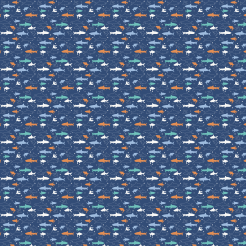 Colorful Shark Silhouette