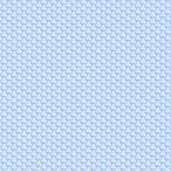 Hand Drawn Whale Illustration