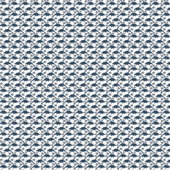 Dolphin And Starfish Illustrat