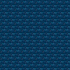 Undersea Diving Beauty