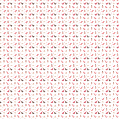 Love Bird Bottle Envelope