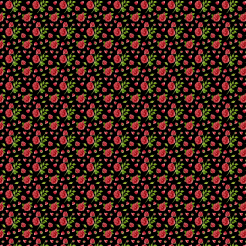 Bright Rose Flowers