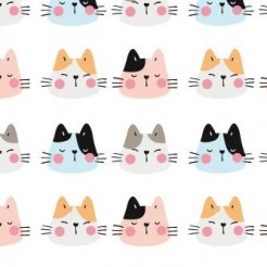 Blushing Big-faced Cat