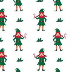 Christmas Helper Elf