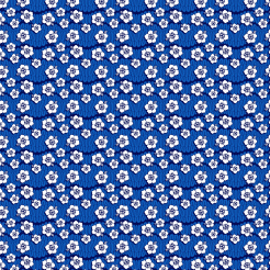 White Hawaiian Flowers