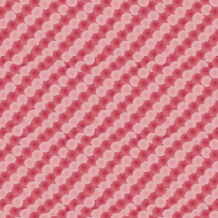 Red And Pink Hydrangea