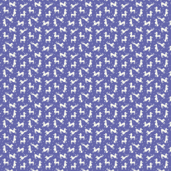 Proud And Elegant Poodle