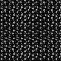 Scary Multi-eyed Spider