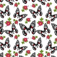 Noble Beautiful Black Butterfl