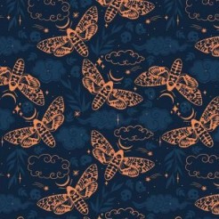 Moths And Stars