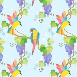 Rainbow Hummingbird With Grape