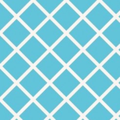 White Line Cross Grid