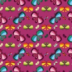 Beautiful Butterfly Family