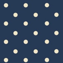 Classic Navy Polka Dots