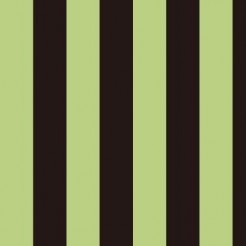 Two-Color Straight Stripe