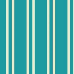 Thick And Thin Stripes