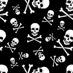 Skull Logo