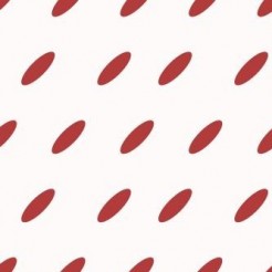 Oblique Ellipse Point