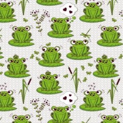 Shy Frog