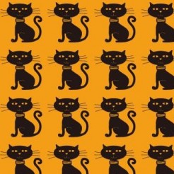 Evil Face Black Cat