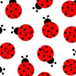 Mini Ladybug