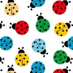 Colorful Ladybug
