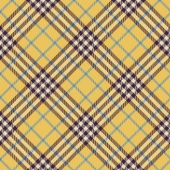 Trendy Tartan