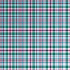 Contrasting Classic Check