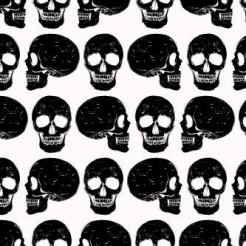 Black And White Skull
