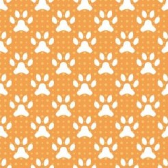 Cute Big Dog Footprints
