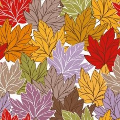 Withered Yellow Maple Leaf