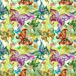 Gorgeous Color Butterfly