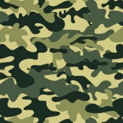 Camouflage