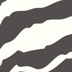 Handsome Zebra Print