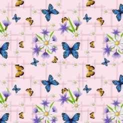 Elegant Two-Color Butterfly