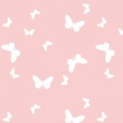 Beautiful Temperament Butterfl