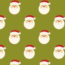 Tiny Santa Head