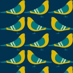 Look Around The Bird