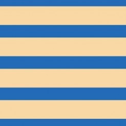 Navy Stripes