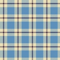 Clean And Tidy Plaid