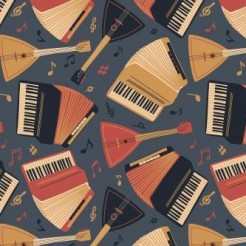 Accordion And Guitar