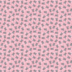 Cute Rainbow Teddy Cat