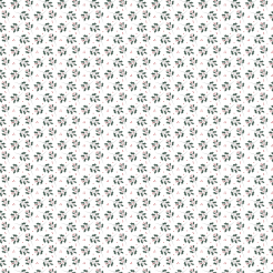 Eastern Blue Twigs And Berries