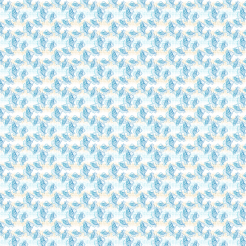 Hand Drawn Beautiful Shells