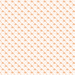 Chinese New Year Celebration