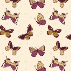 Elegant Bicolor Butterfly